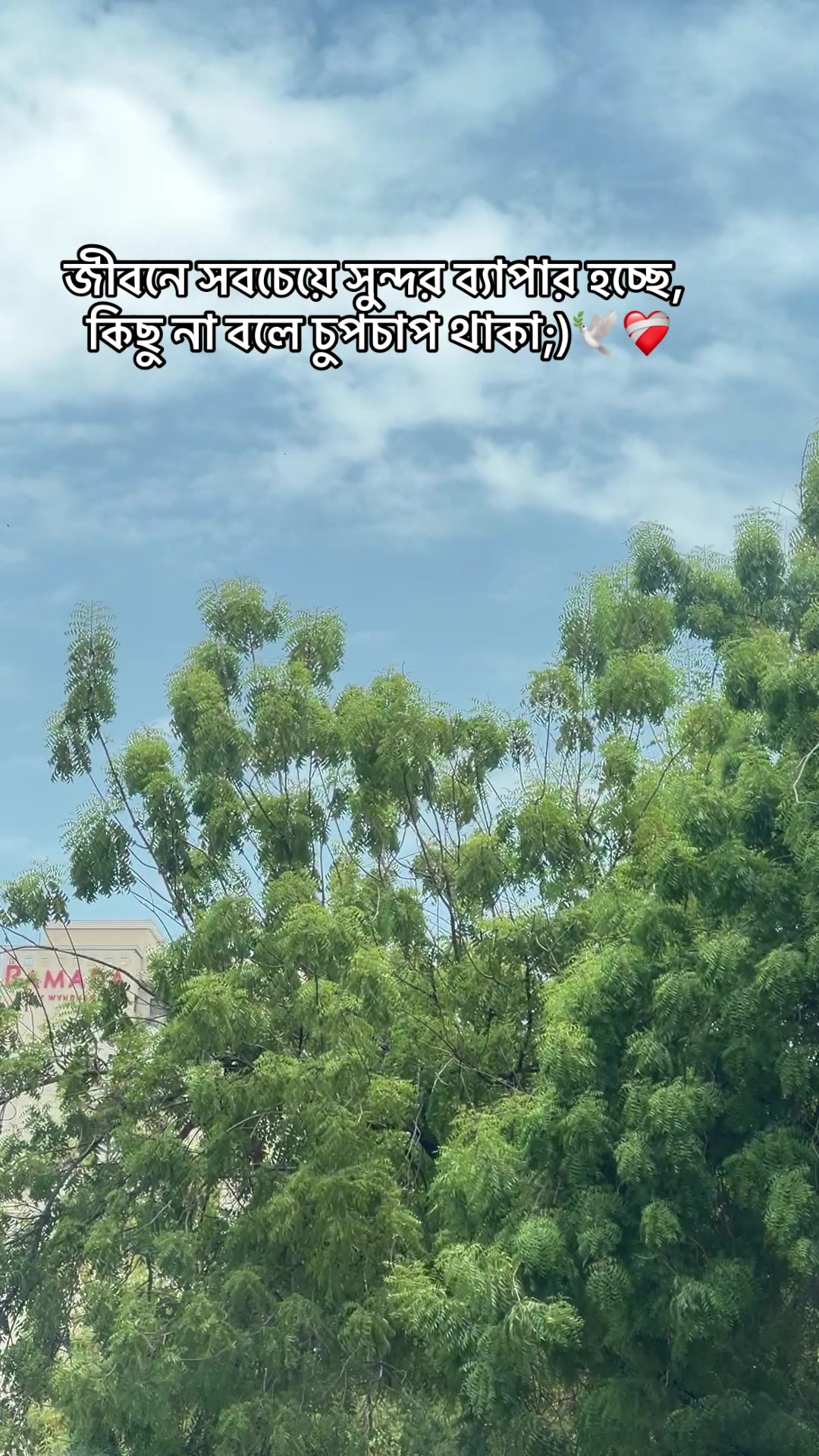 @B e a u t y of Ksa đ¸đĻ