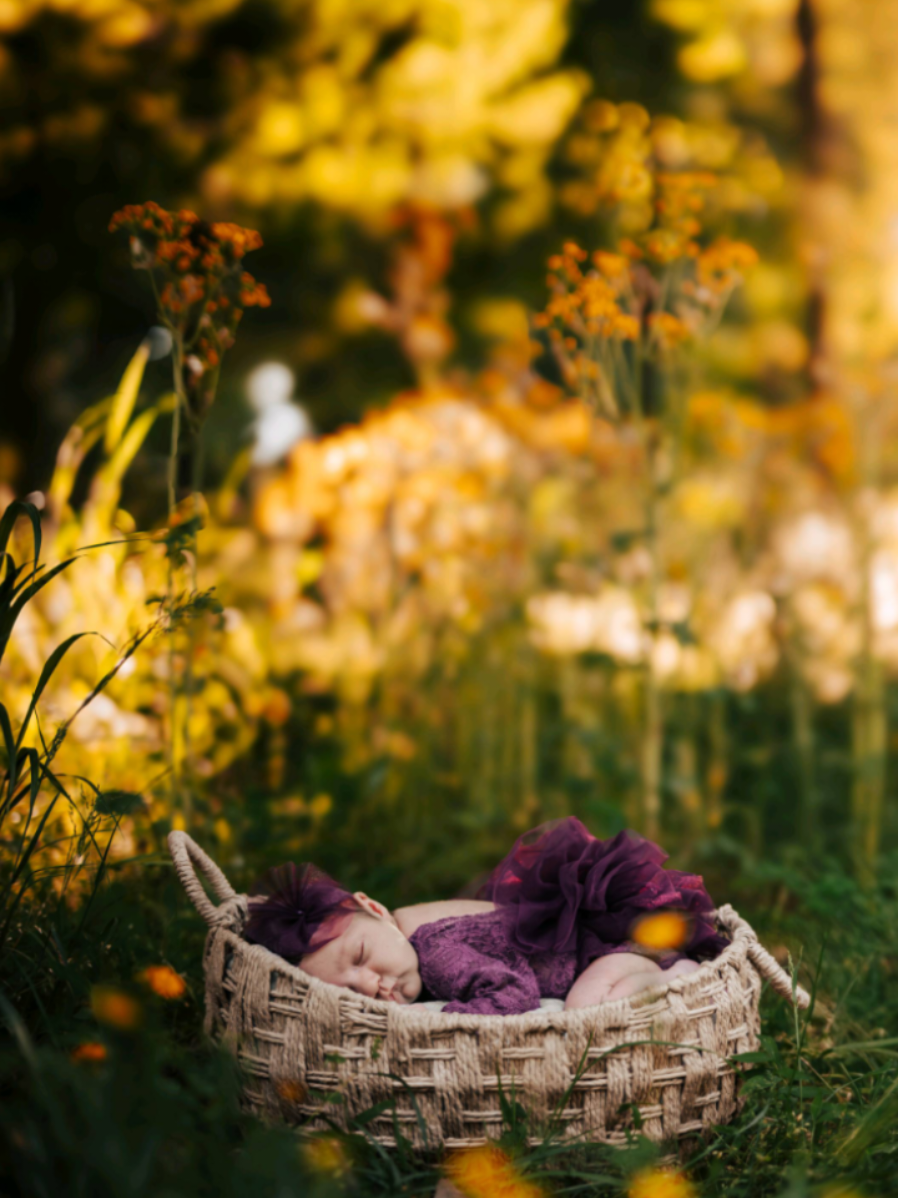 @Mellow Moon Photography