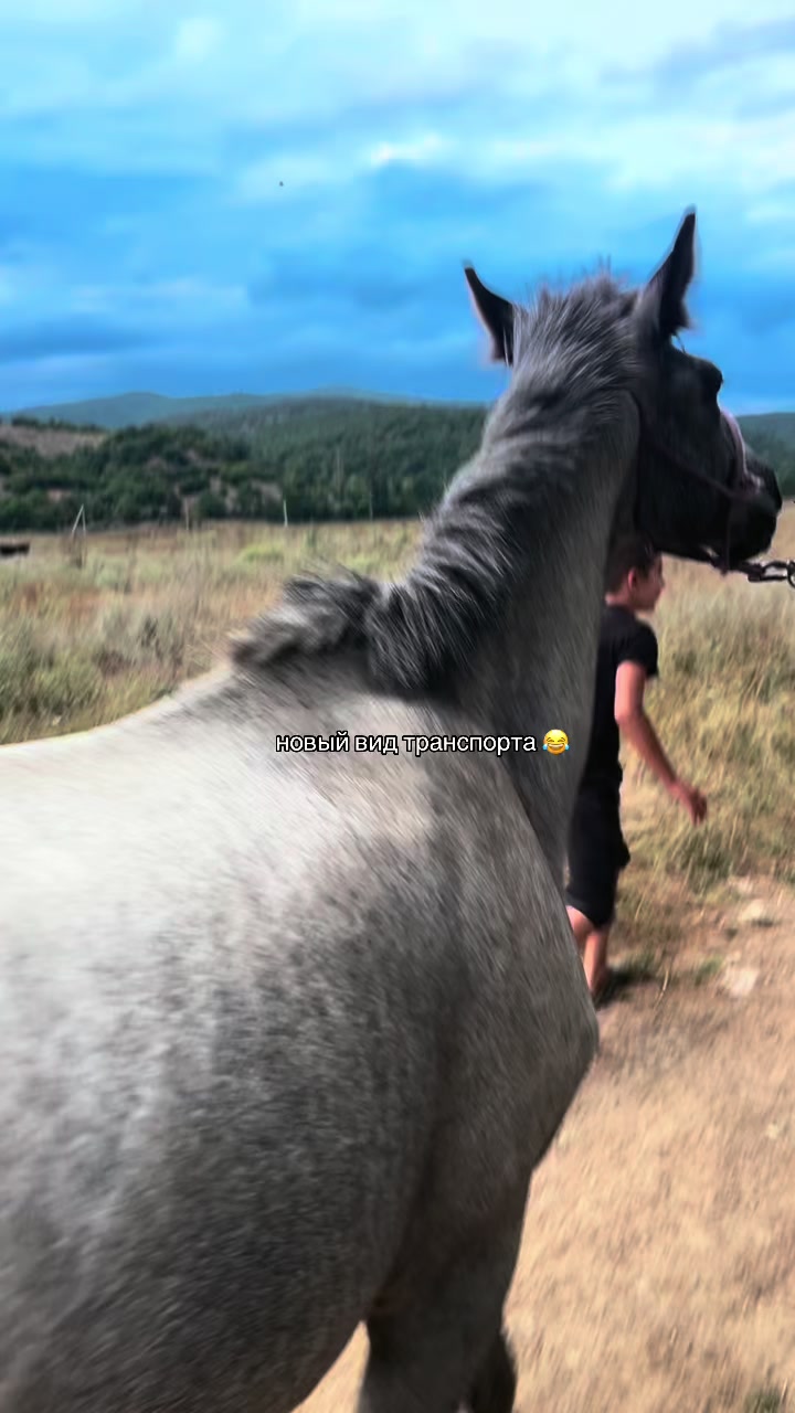 @сафиша