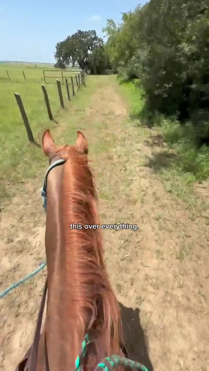 @Tetris_eq