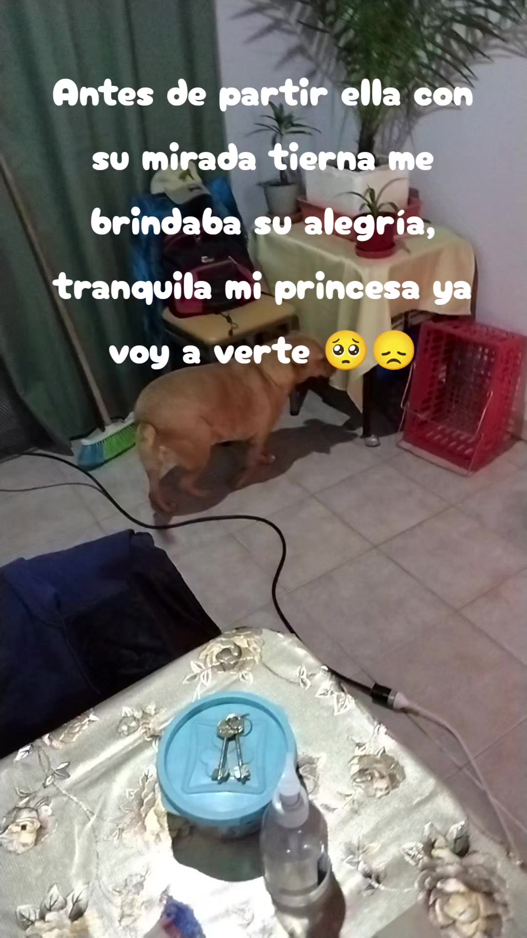 @Juan