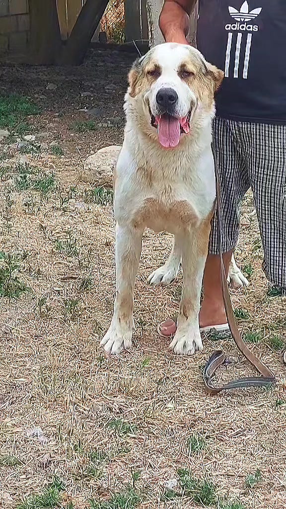 @Elşad__007