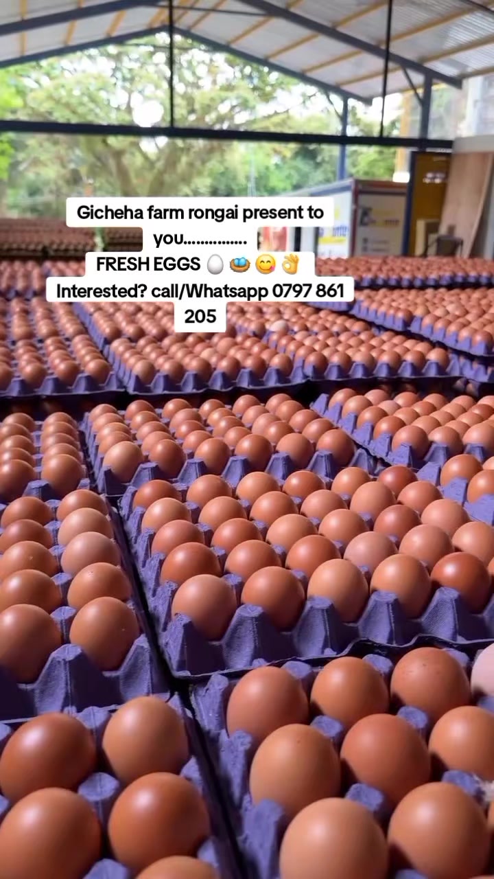 @OFFICIAL GICHEHA FARM RONGAI