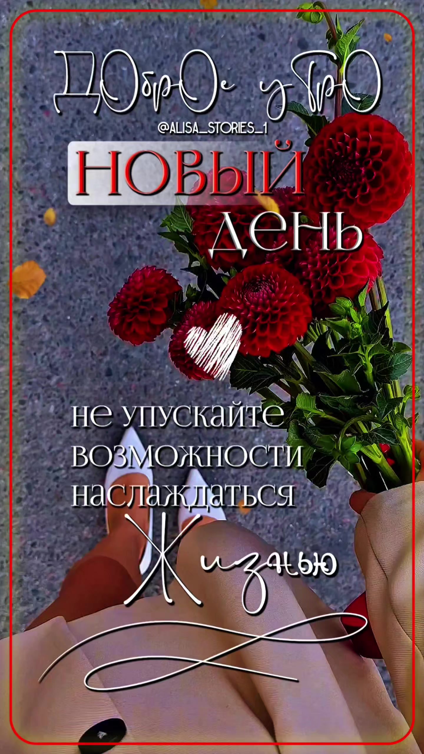 @ªᏗИ₡ª