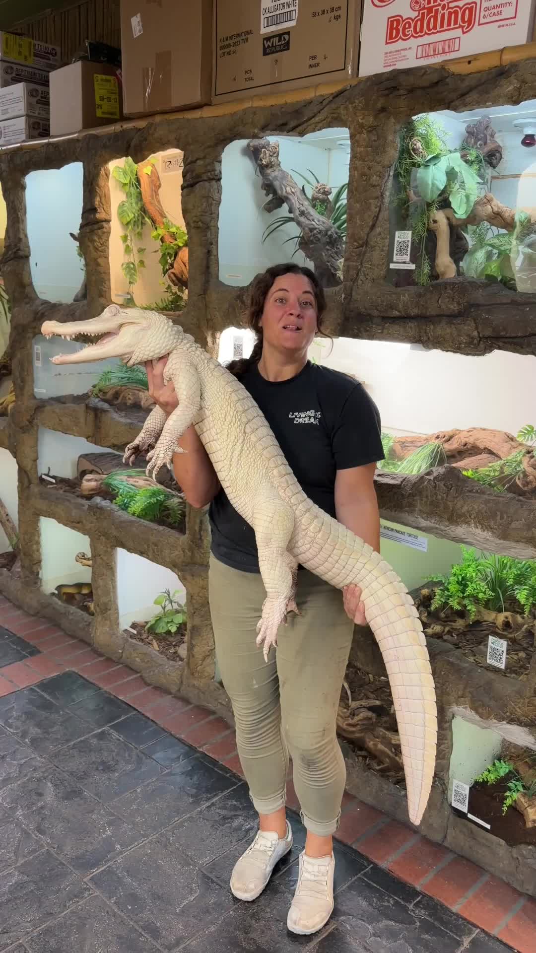 @The Reptile Zoo