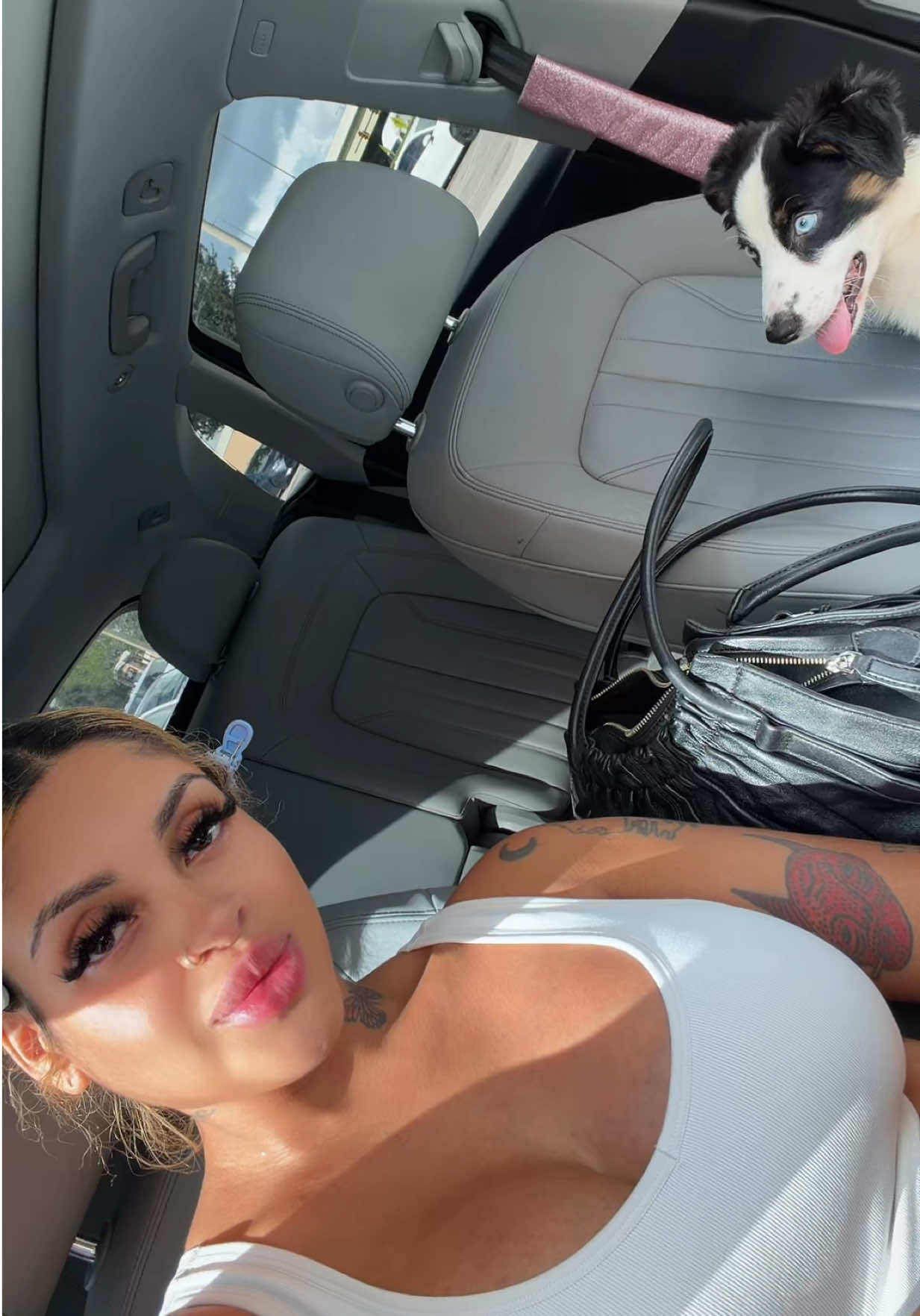 @lajefaart