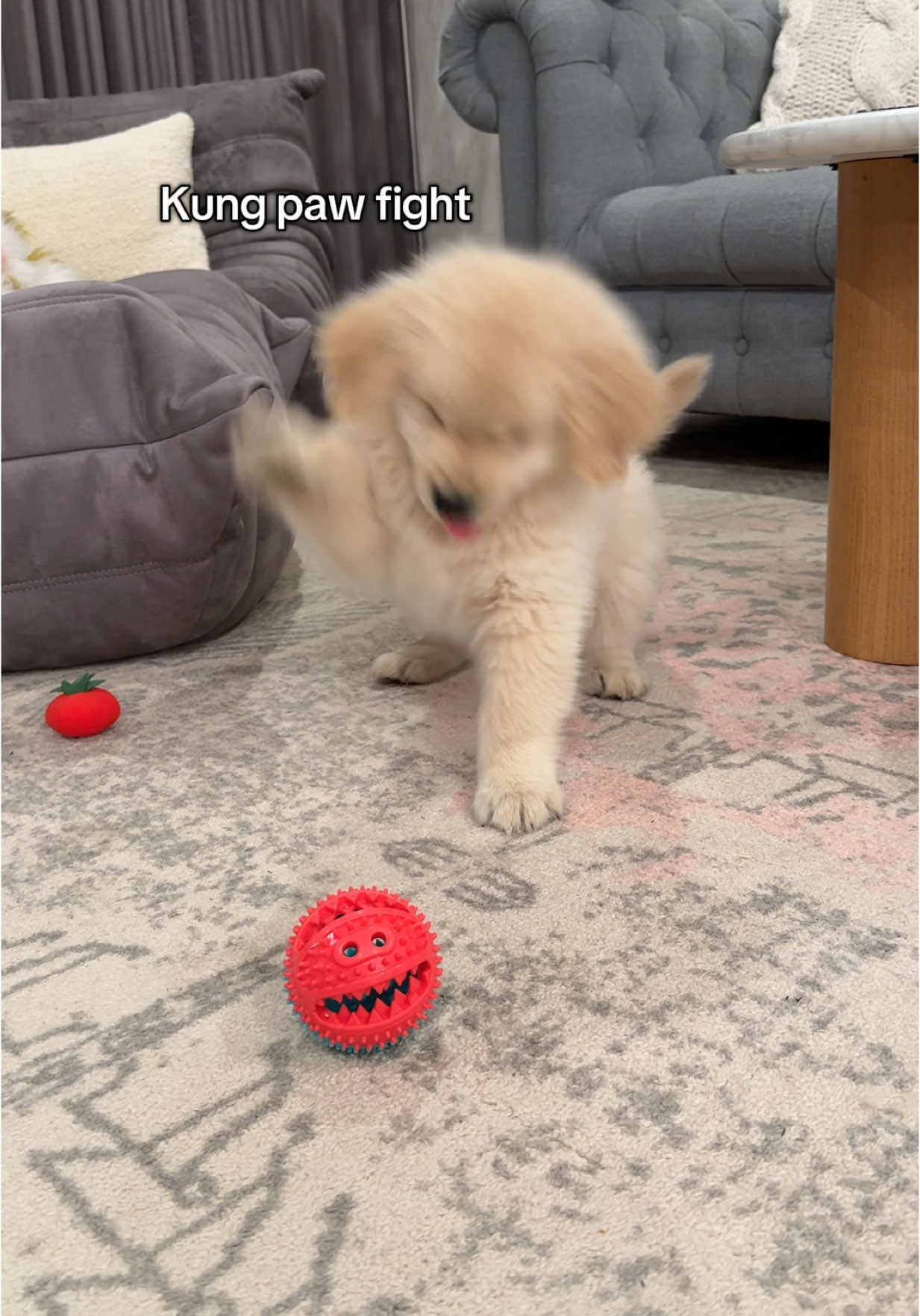 @Maui, Ruby +Hugo