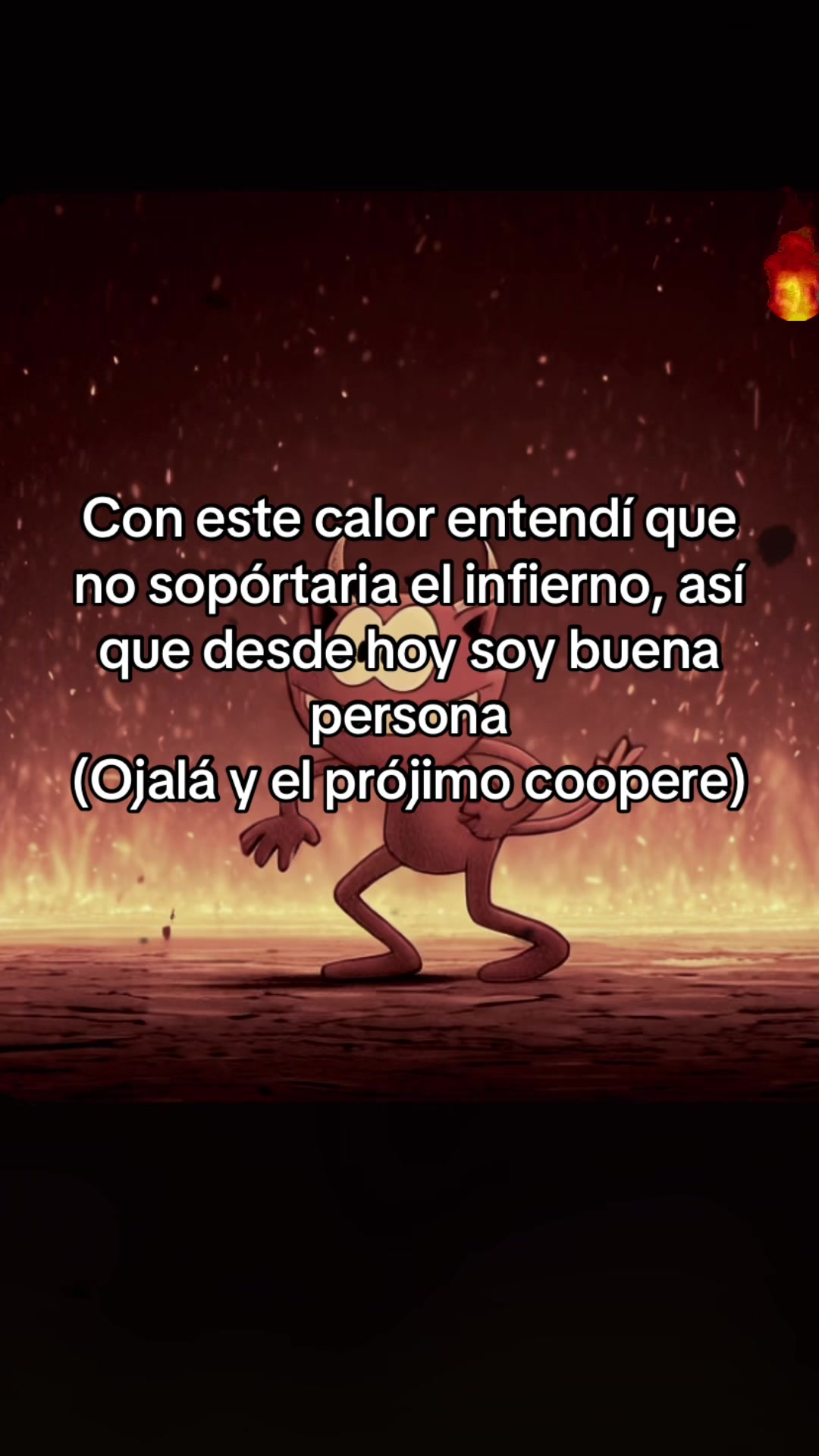 @VibraCotidiana