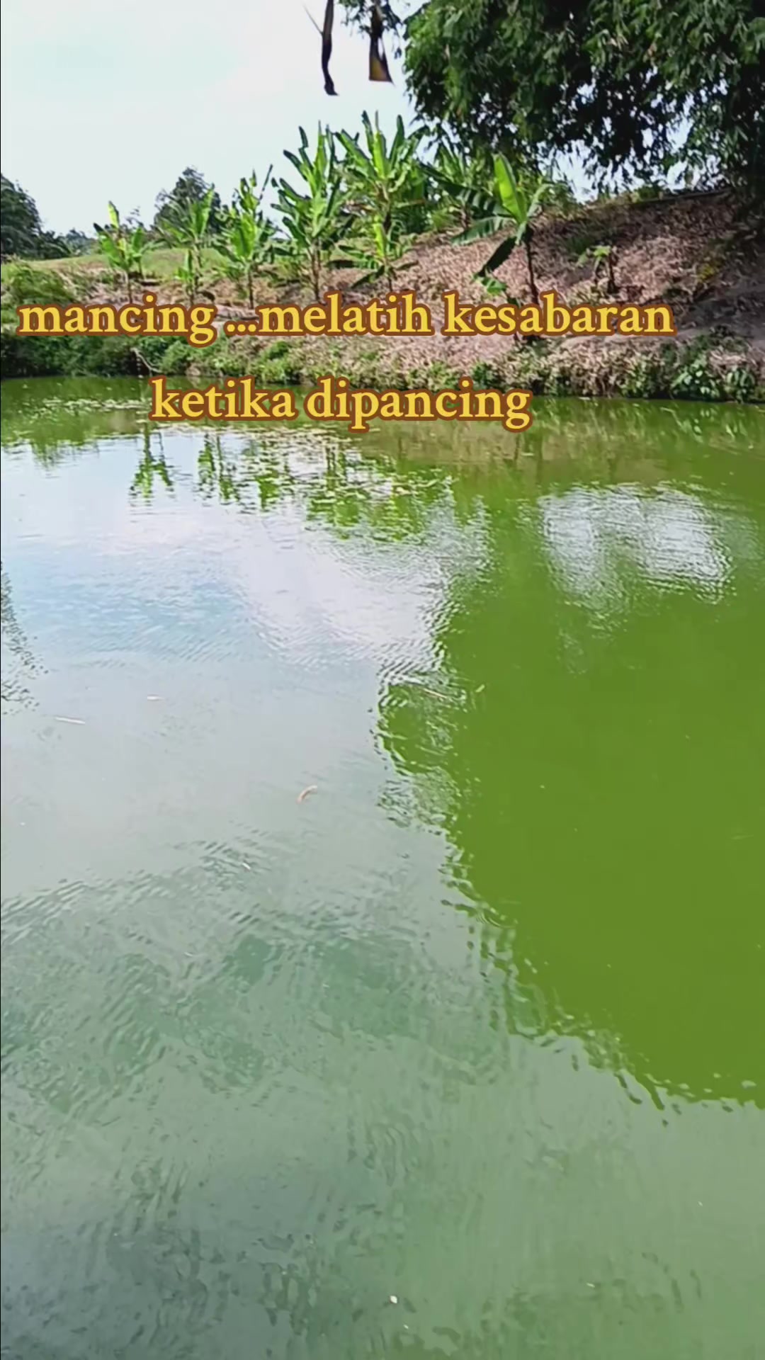 @MARNALA SIMANJUNTAK