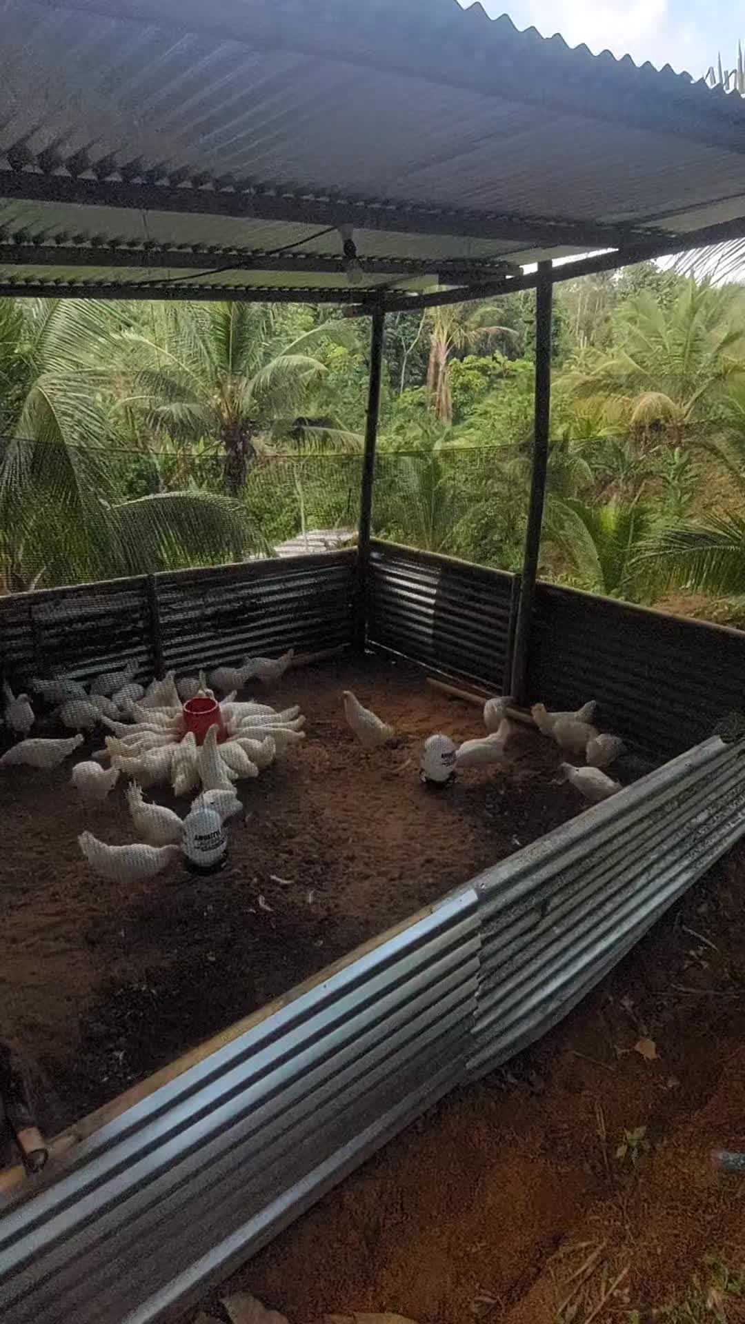 @❤♡♥♡ⁿʸˡʳᵃᵐ♡♥♡❤