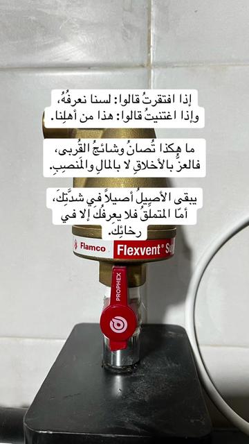 @Vaillant DZ