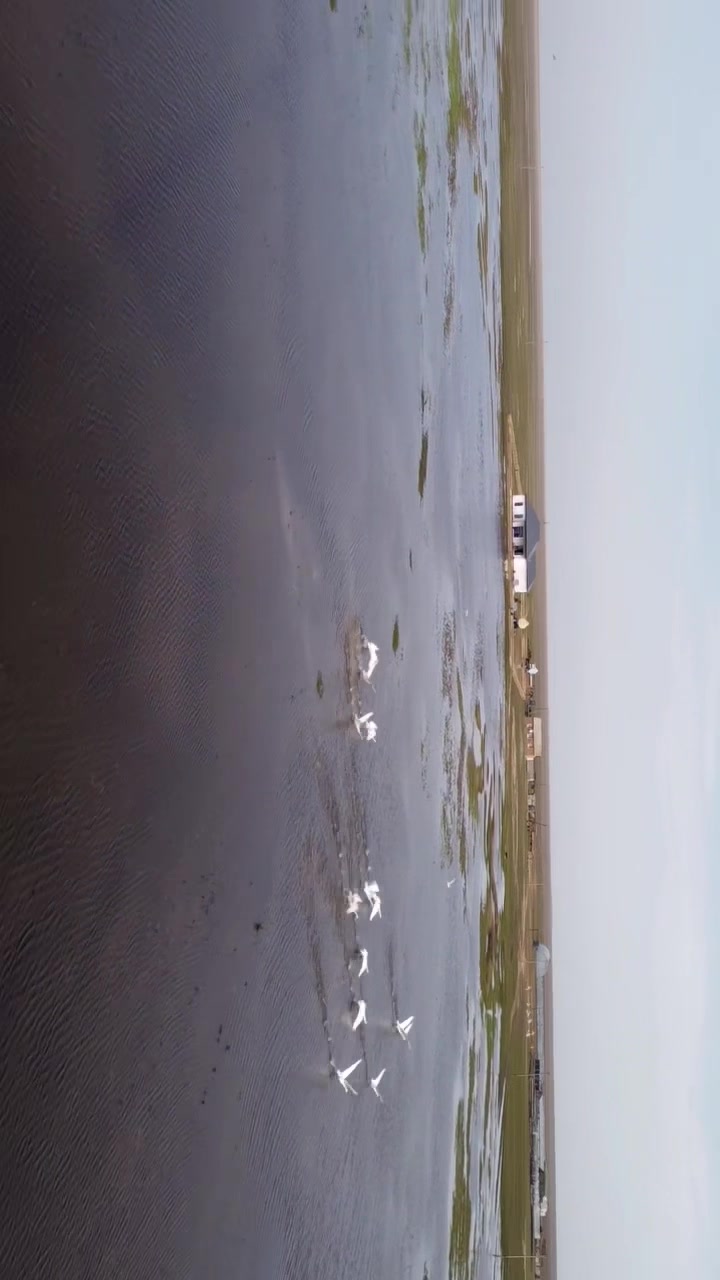 @Акку🕊