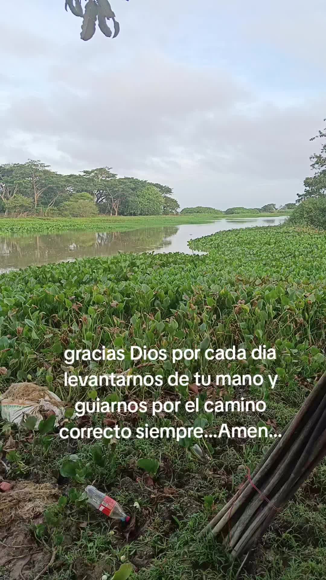 @DAVIOSI