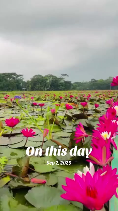 @ঘুমন্ত শহর
