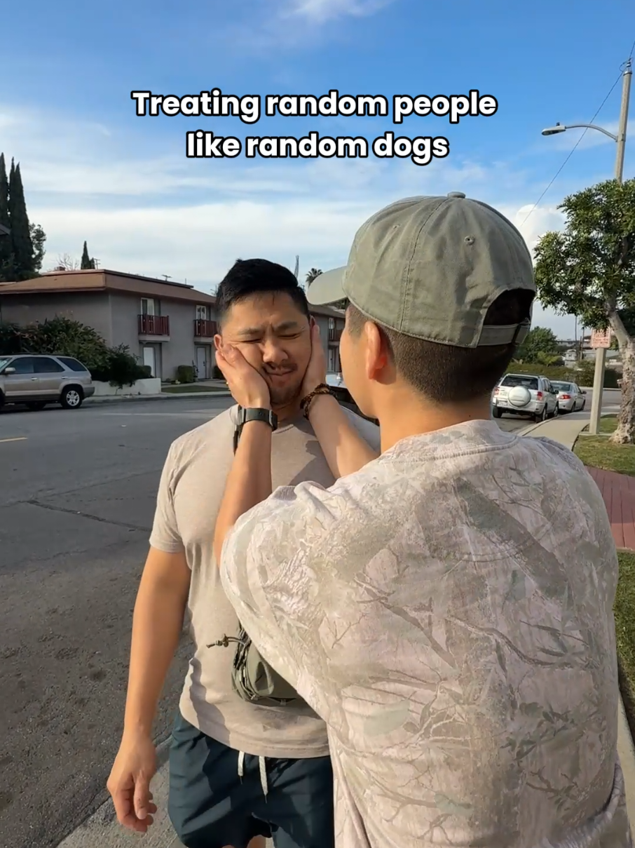 @Jiby Dog Crew