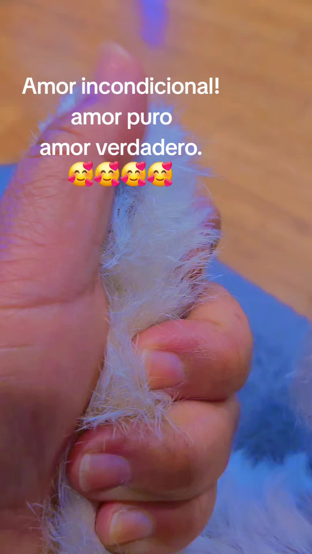 @ca1rmen