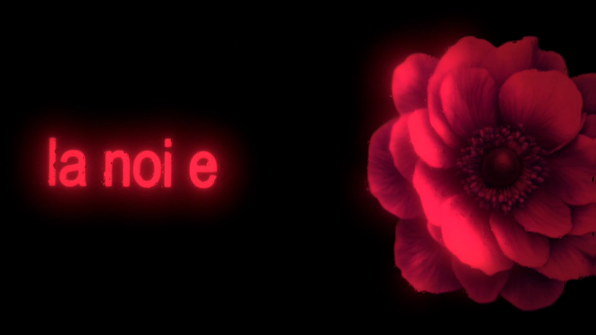 @𝐒𝐏𝐄𝐄𝐃 𝐋𝐘𝐑𝐈𝐂𝐒