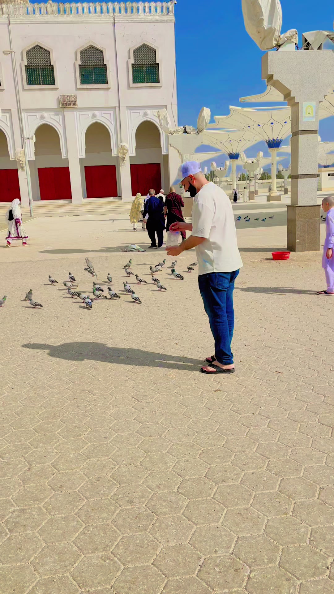 @سیدسردار✨🕊️