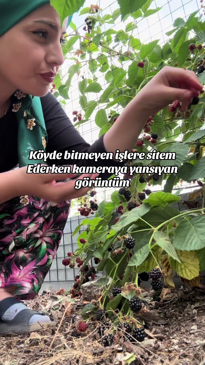 @🌸Reyhan03🌸