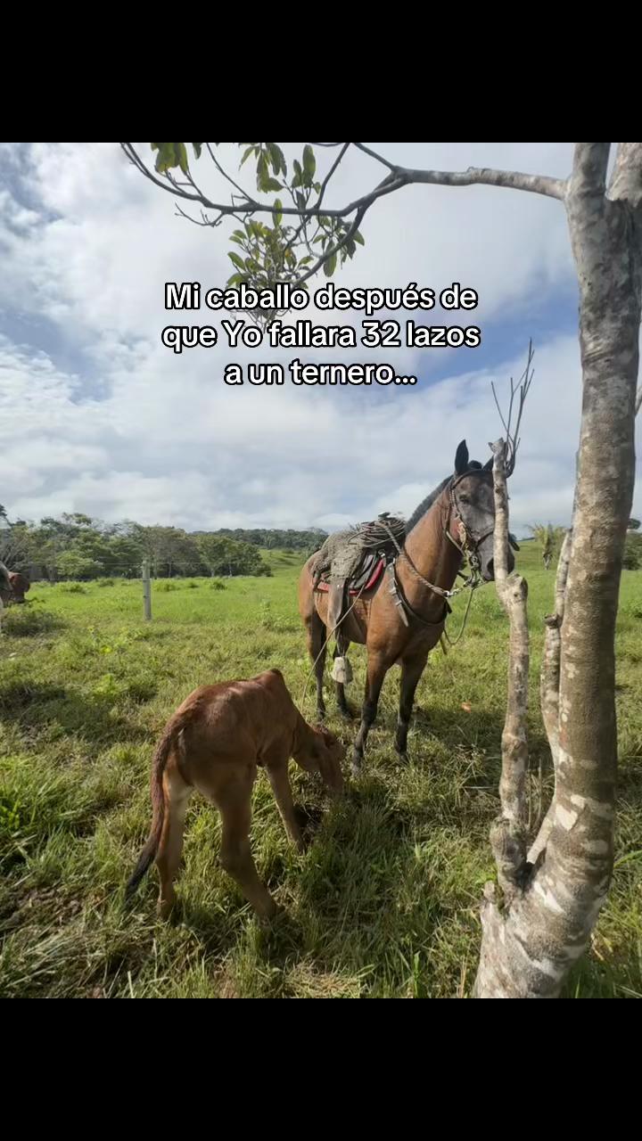 @Didier_🤠