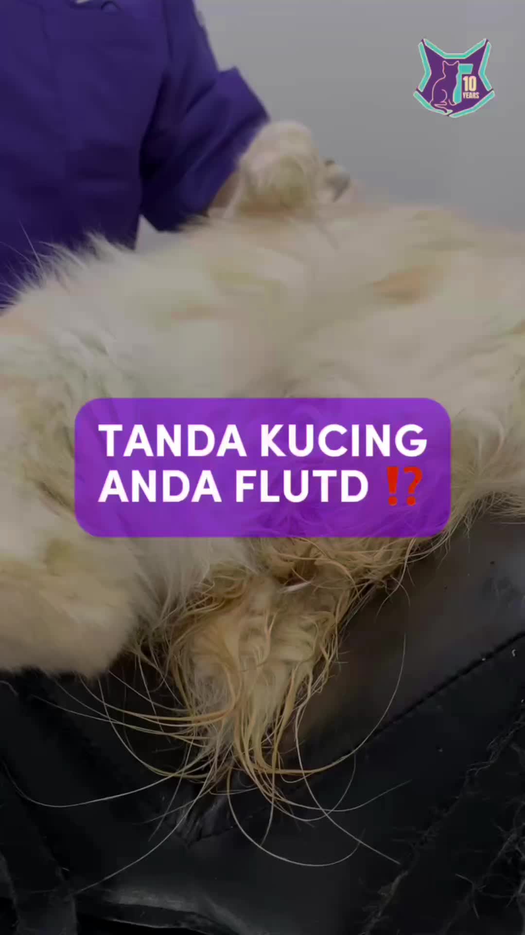 @Tuahvet