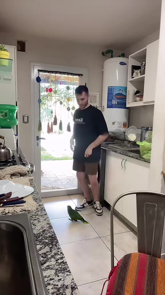 @Mister.Pepo