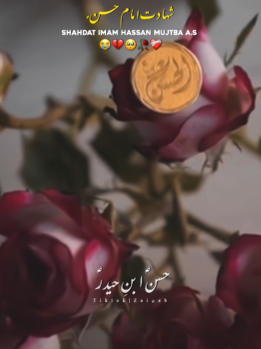 @𝐙𝐀𝐈ن𝐀𝐛ރ