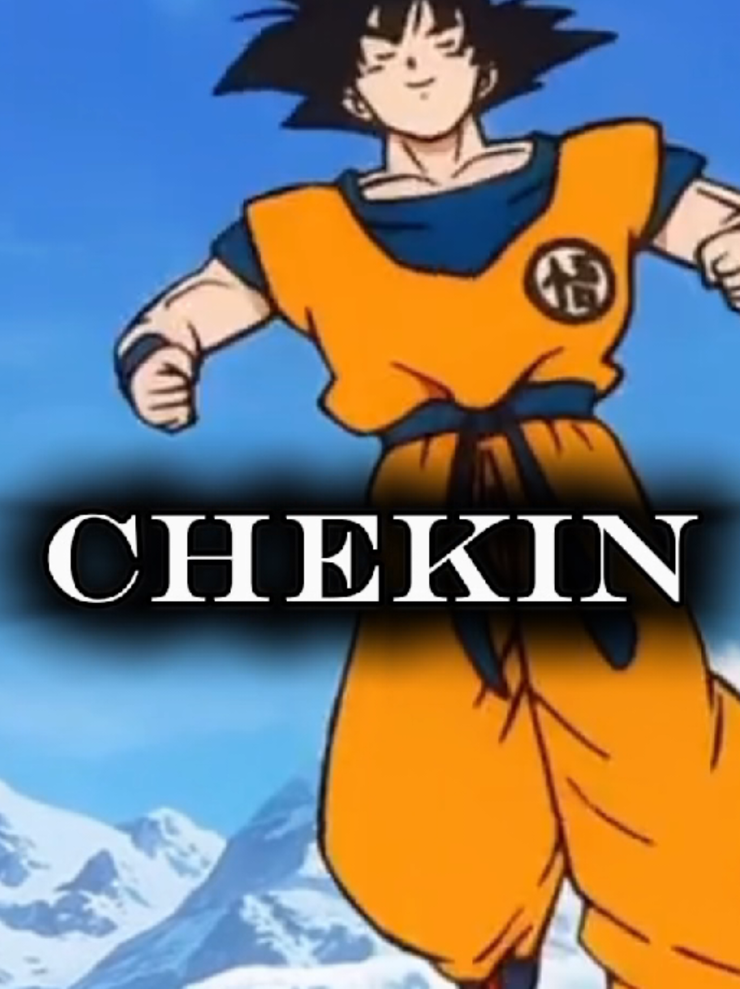 @CHEK1N