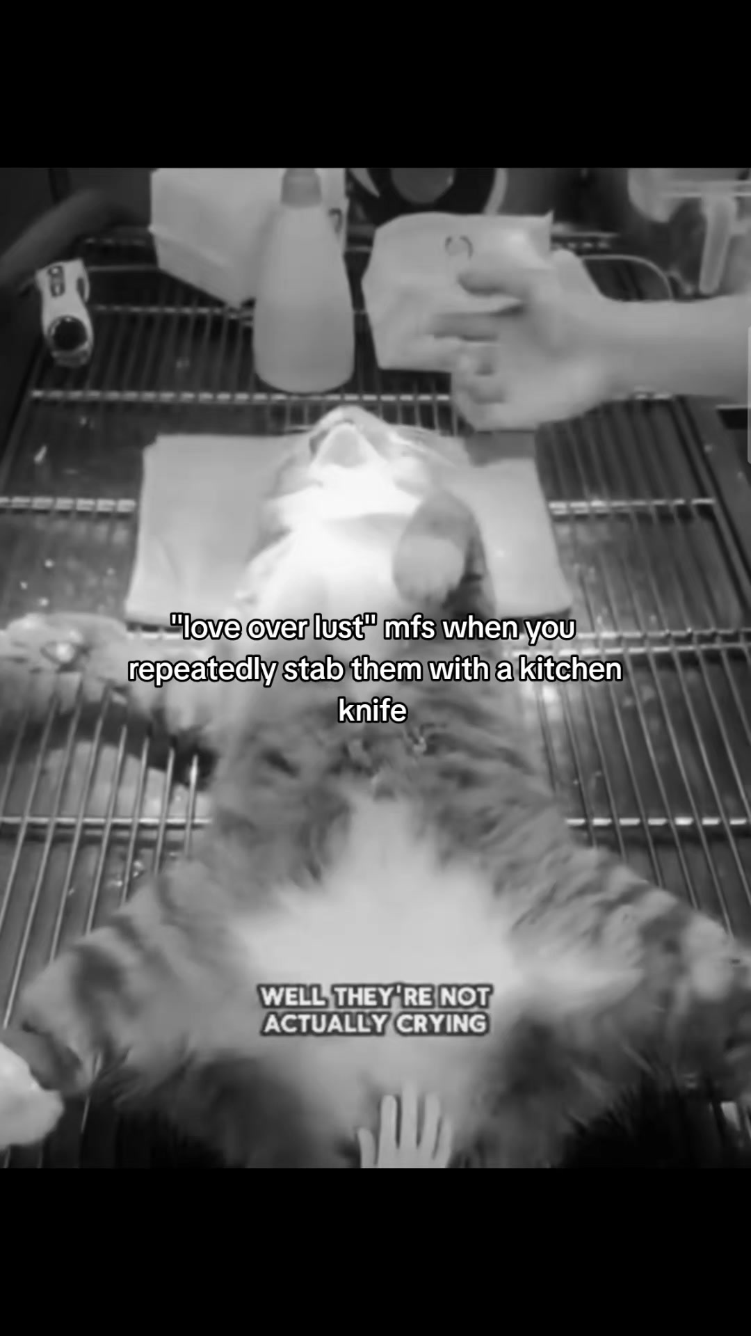 @Rui