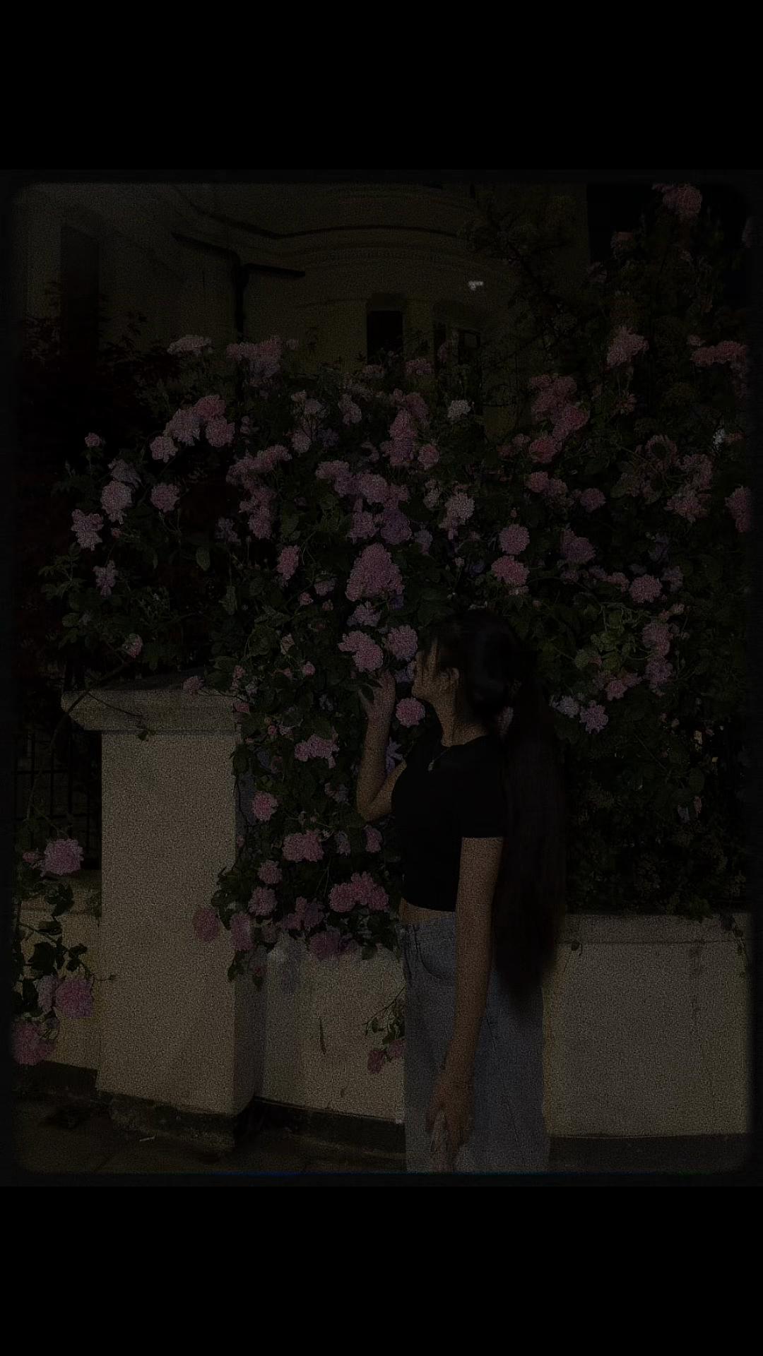 @sahara 123