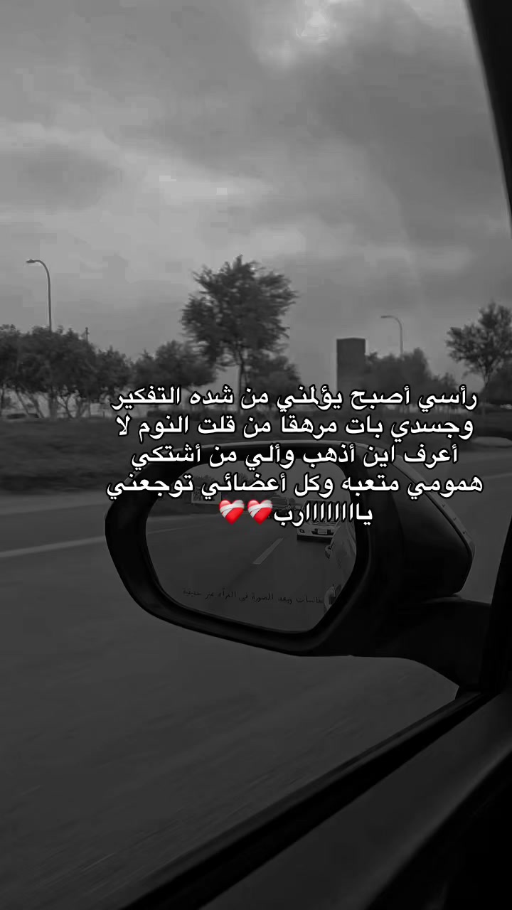 @🕊️❤️
