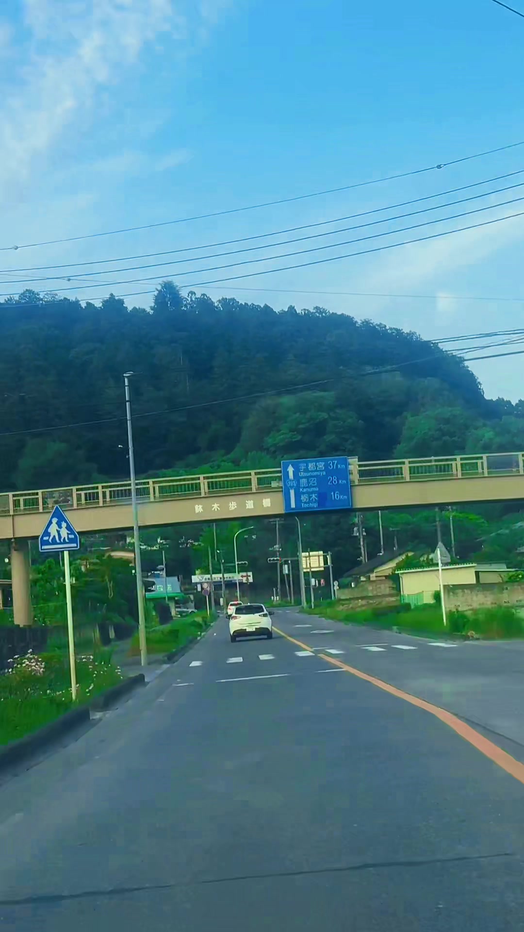 @Japan Tiger ISL 🇯🇵