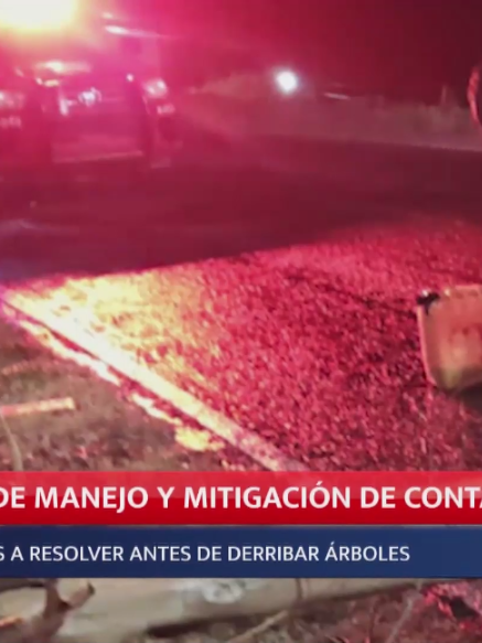 @Meganoticias Tehuac&aacute;n