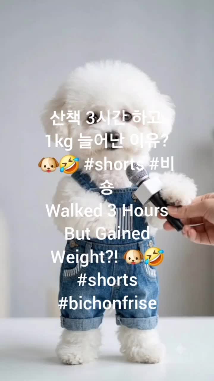 @Hyun An