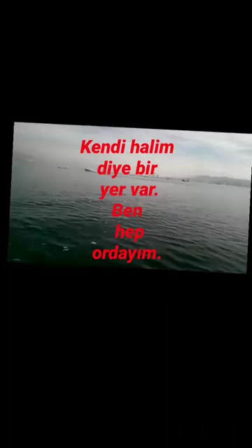 @Meri Sineklik İsmail Kurt
