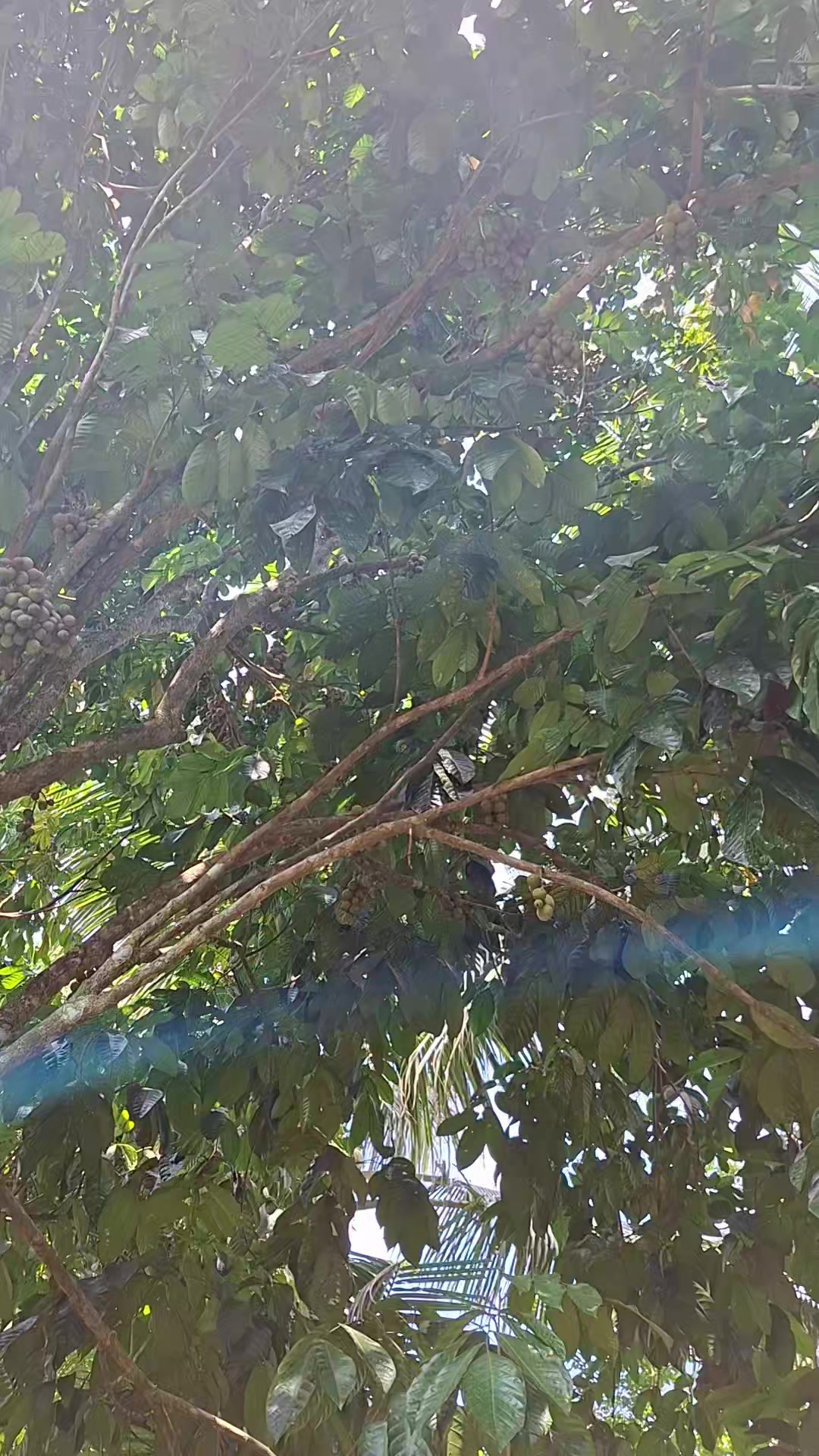 @MariaArmy1172💚💜