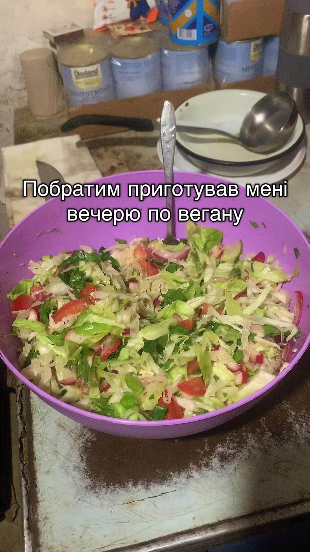 @КОТЯРА🇺🇦