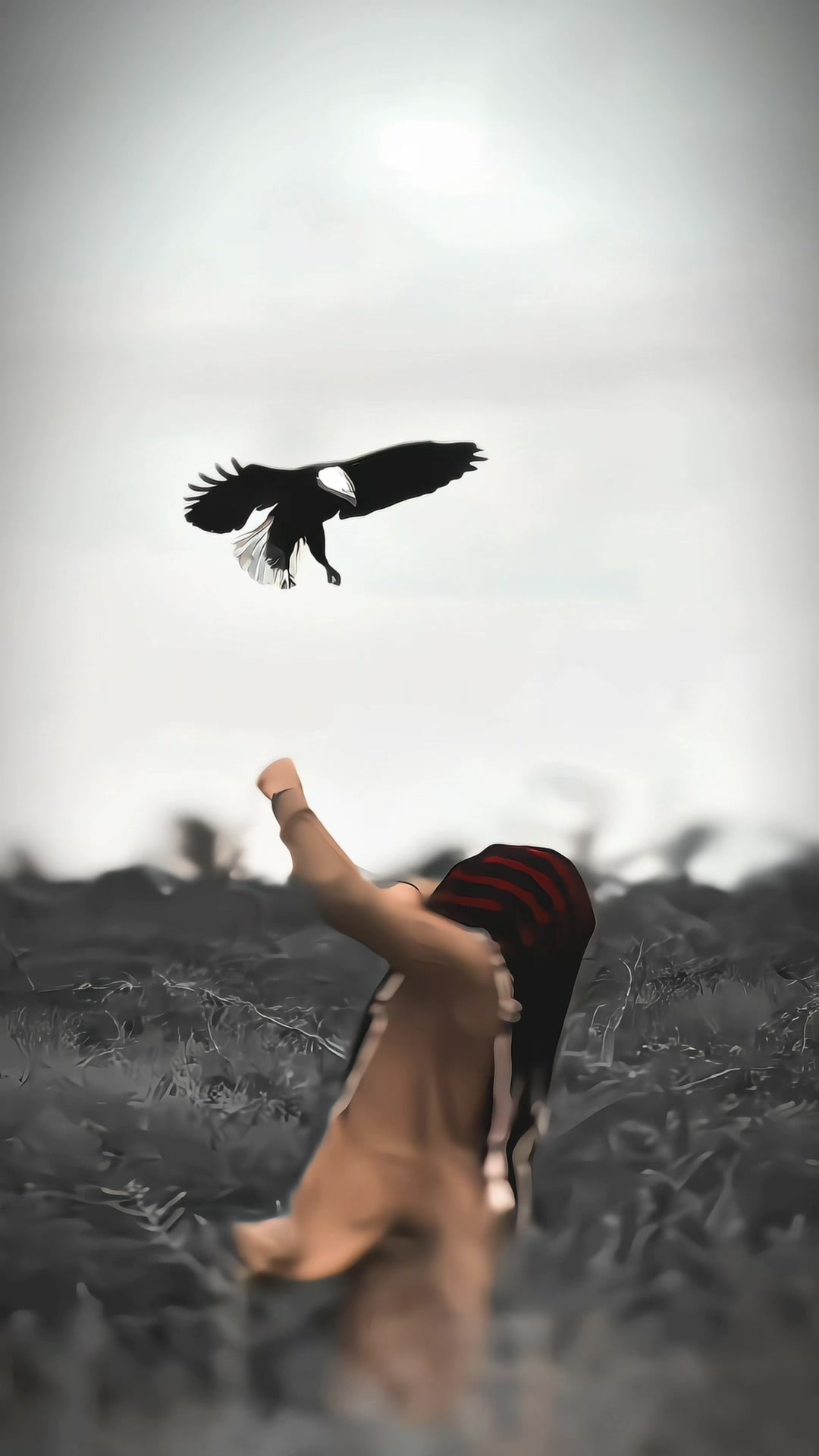 @â ïžïž ð¯ð¬ð¹ð¶ â ïžïž