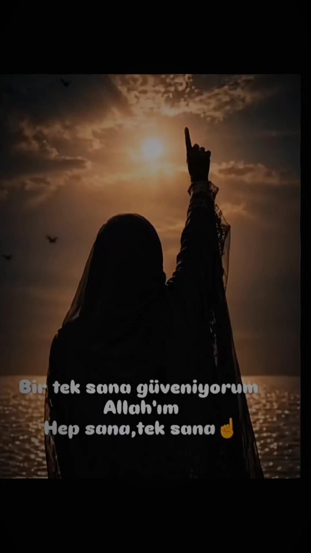 @aslaniçe