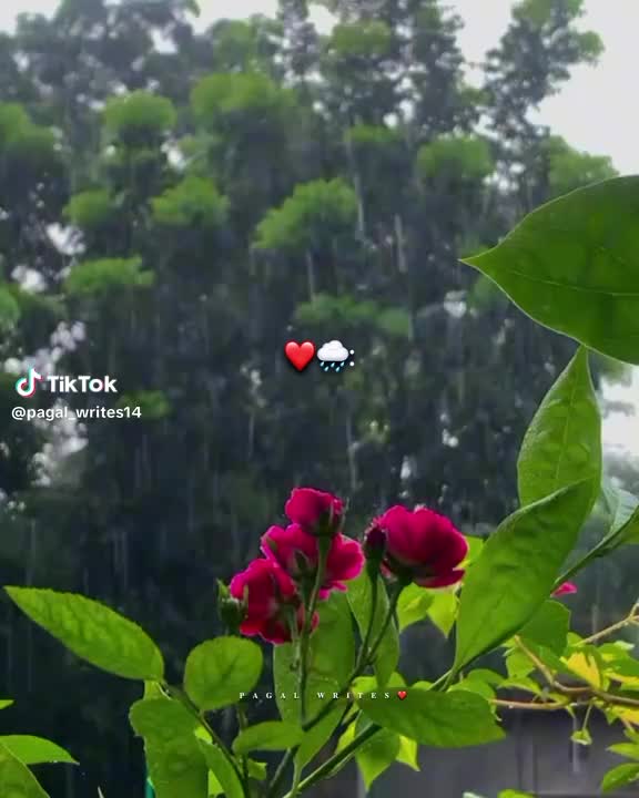 @Nosirwawawan Malik