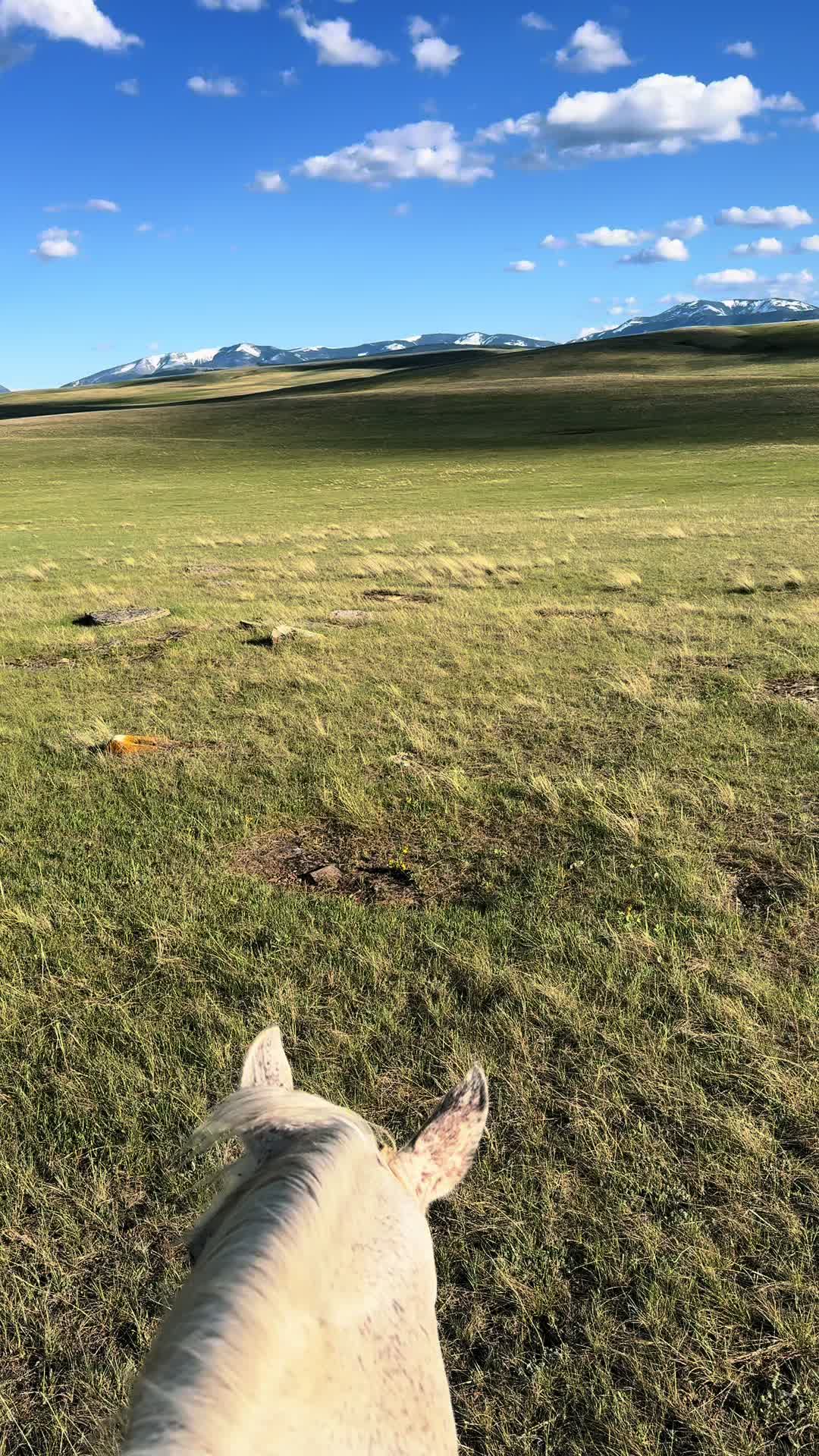 @HikingGal