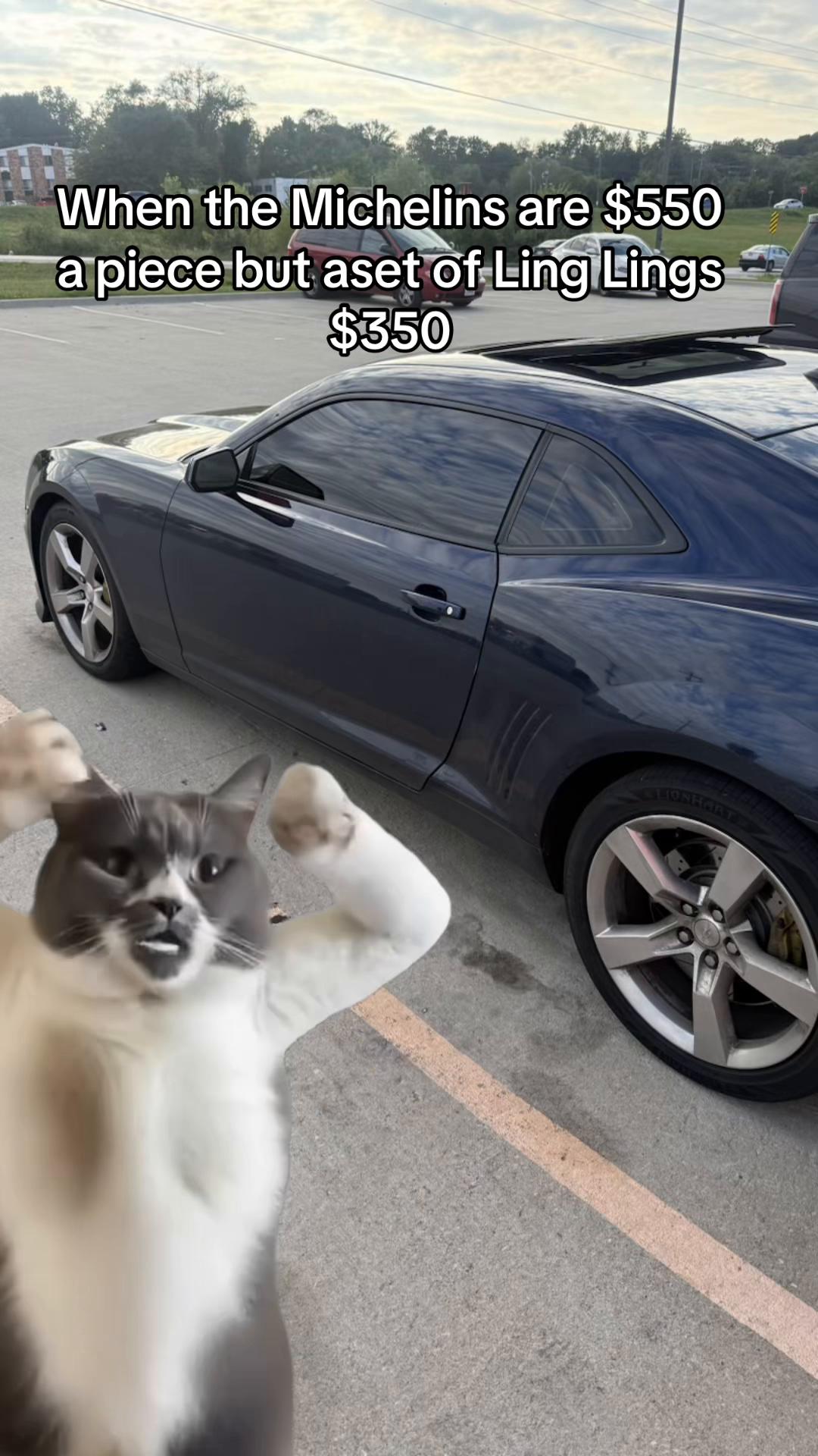@FASTDudeDON