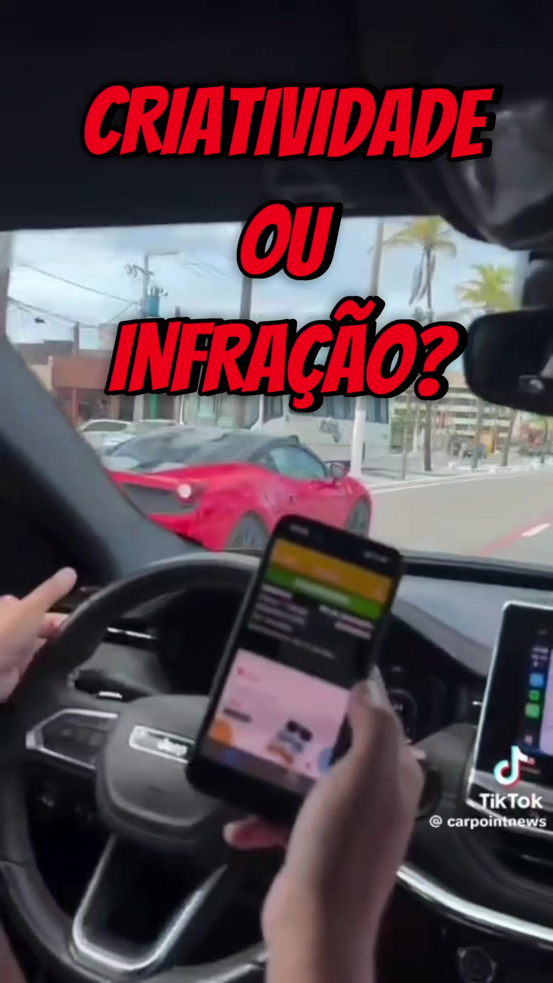 @Dirceu Polo Filho