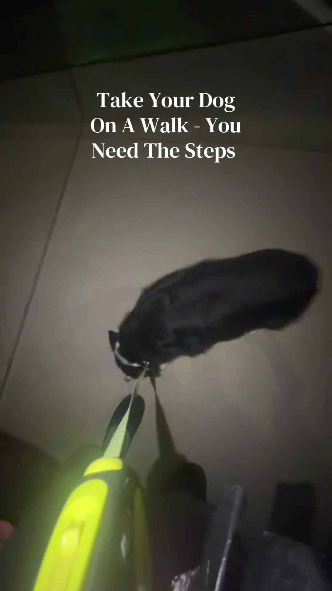@Nuno