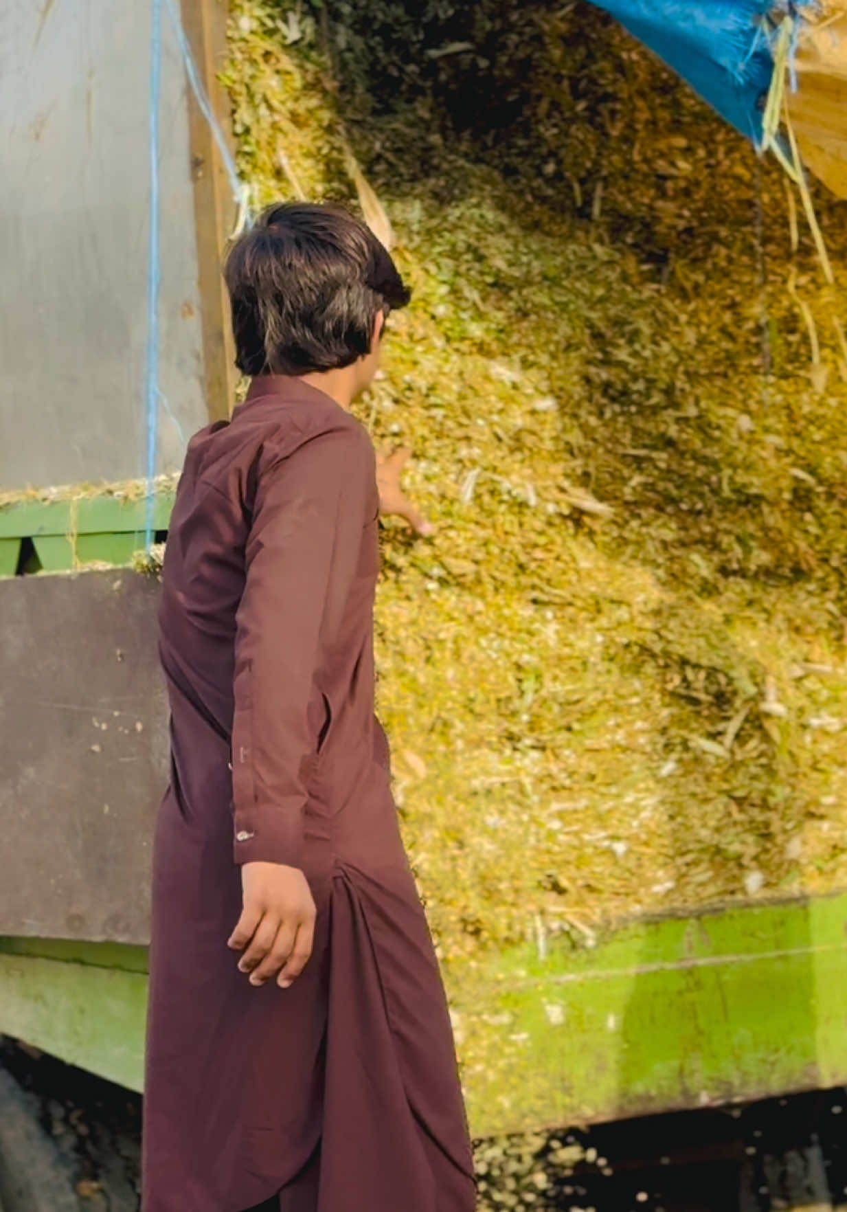 @🥀سردارملک شاویز کانجو🥰