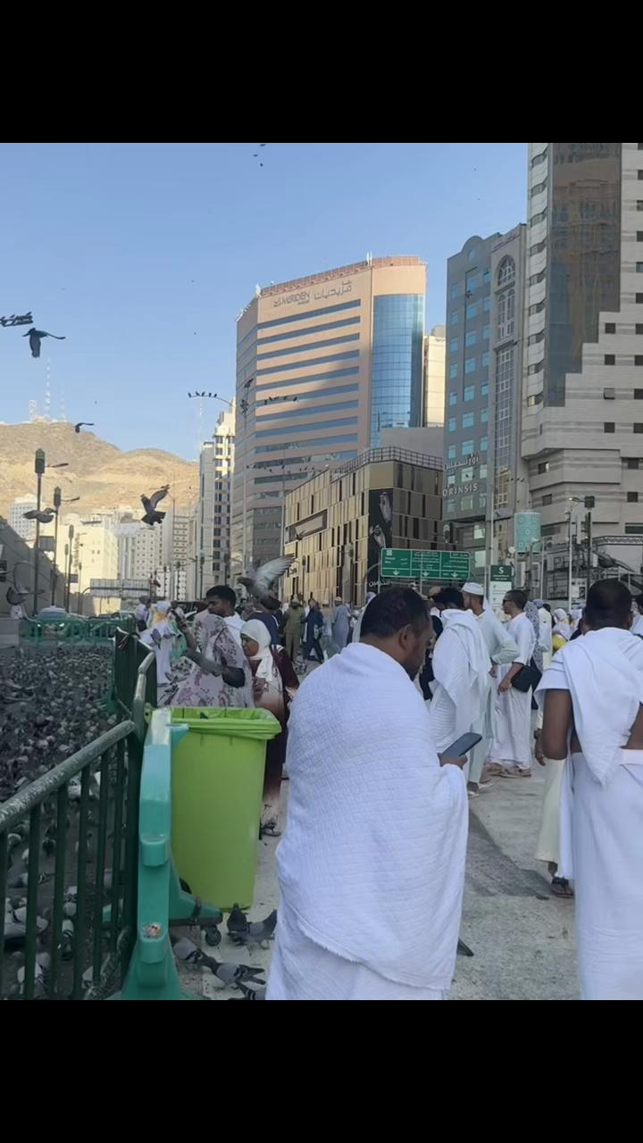 @ابونايف