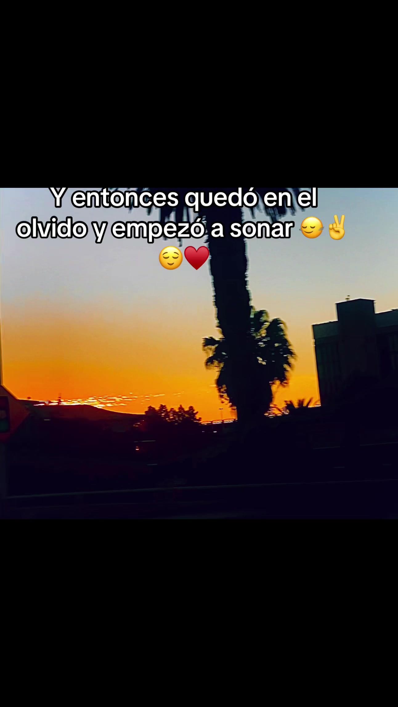 @FeliFeli