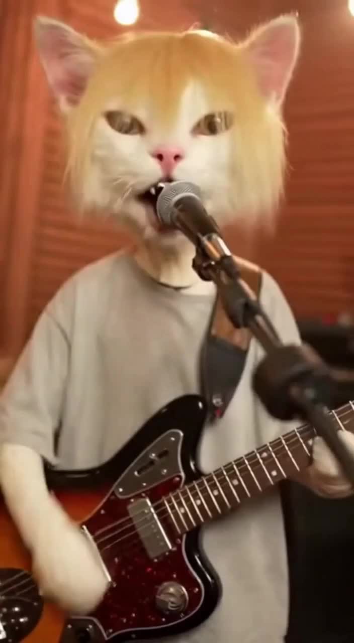 @Nirvana Cats