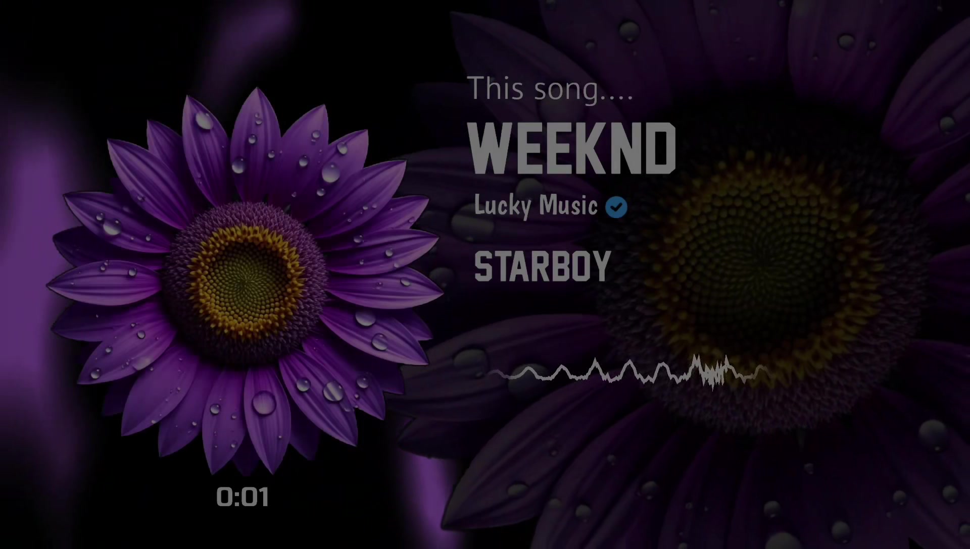 @Lucky Music
