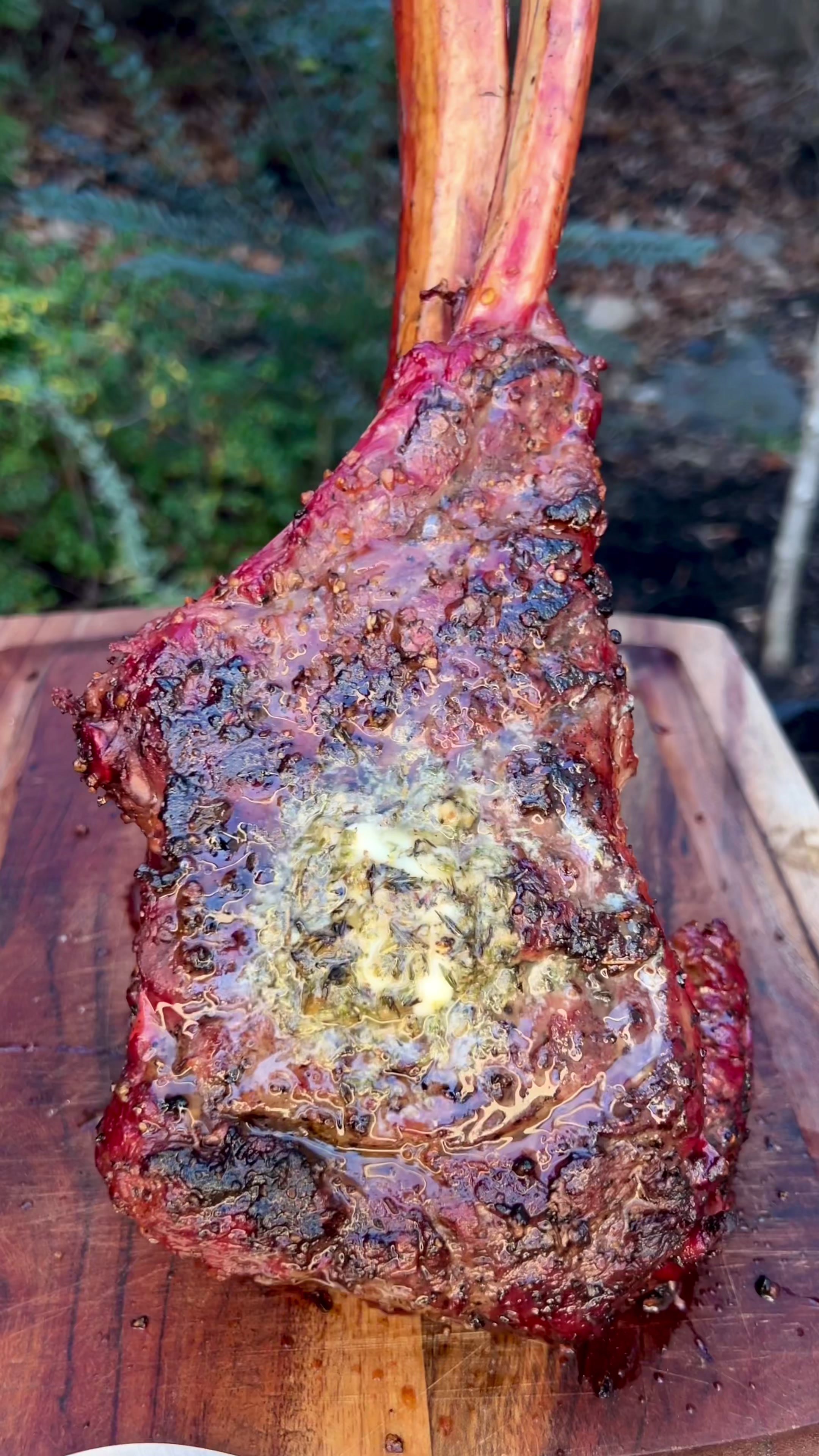 @bacusbbq